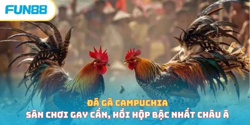 da ga campuchia anh dai dien